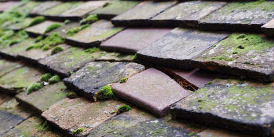 Blaenrheidol roof repair costs